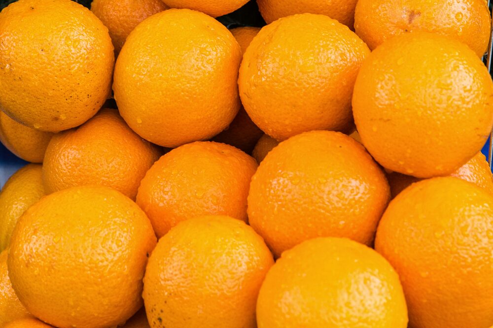 Egyptian Baladi oranges for juicing