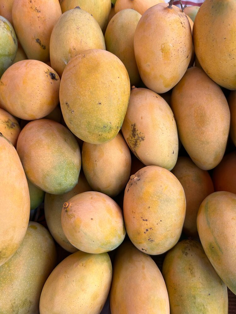 Fresh premium Egyptian mango