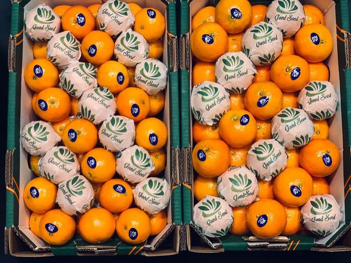 Egyptian mandarins individually wrapped in Good Seed branded tissue