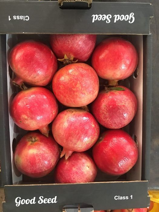 Class 1 Egyptian pomegranates packed in a Good Seed carton