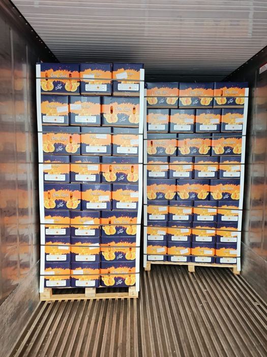 Pallets of Good Seed mango cartons loaded and strapped inside a reefer container