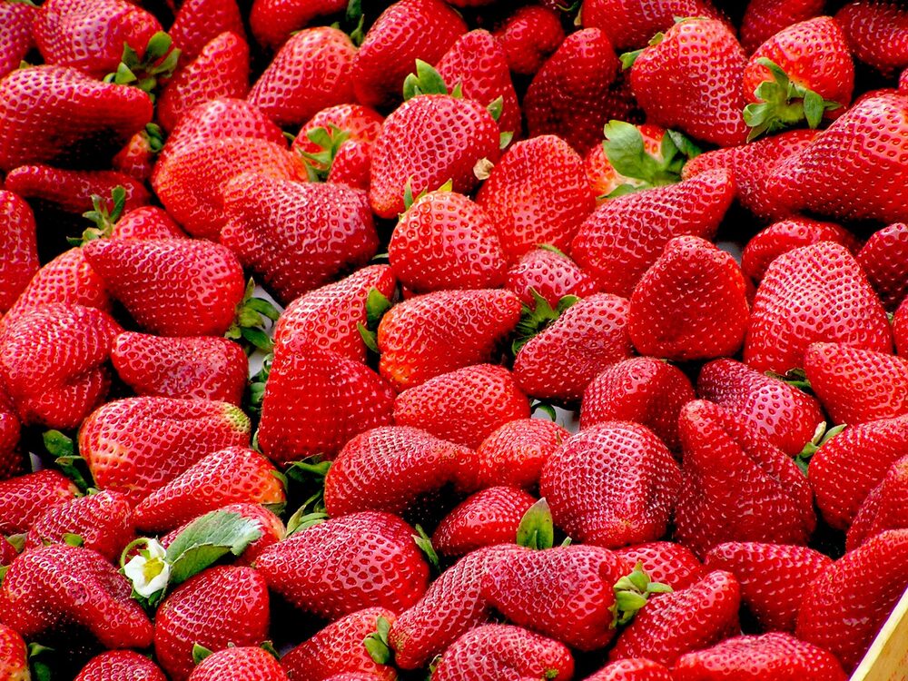 Fresh Egyptian winter strawberries in punnets
